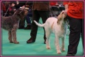 09-03-12 M GoodAsGold_IMG_0922
